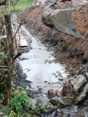 Pungart Gornja Košana (5)